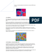 A Continuación La Lista de Las 10 Enfermedades de Transmisión Sexual