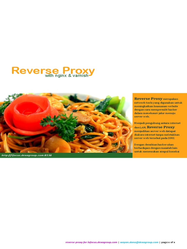 Reverse Proxy Nginx & Varnish PDF