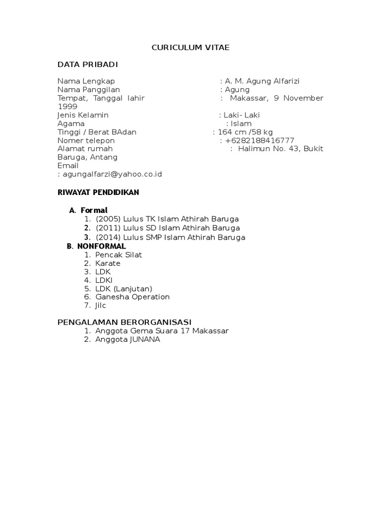 Contoh Curriculum Vitae SMA OSIS