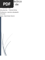 Trabajo Práctico Historia Brisa