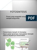 fotosintesis.ppt