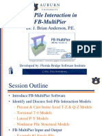 Soil Pile Interaction in FB Multipier