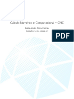 Cálculo Numérico e Computacional.pdf