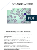 Megaloblastic Anemia (Group 4)