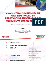 15.00hs - Dalle Fiore - PPT Presentaci N HGOR Production V2