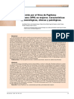 05 - v49!3!4 - VPH PDF Que Usare