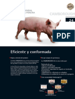 FichaC24 (1)