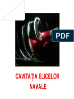 cavitTP PDF