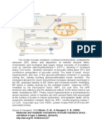 Muoio, D. M., & Newgard, C. B. (2008) - Molecular and metabolic mechanisms of insulin resistance and β - cell failure in type 2 diabetes, 9 (march)
