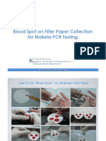 Blood Spot Collection Malaria PCR