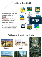 Habitats For Plants
