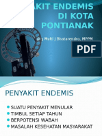 1. Penyakit Endemis Di Kota Pontianak