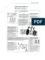 07_membranas_esquemas.pdf