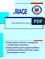 File2 12.triage