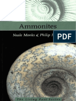 Ammonites PDF