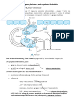 Antiagregante Plachetare Anticoagulante