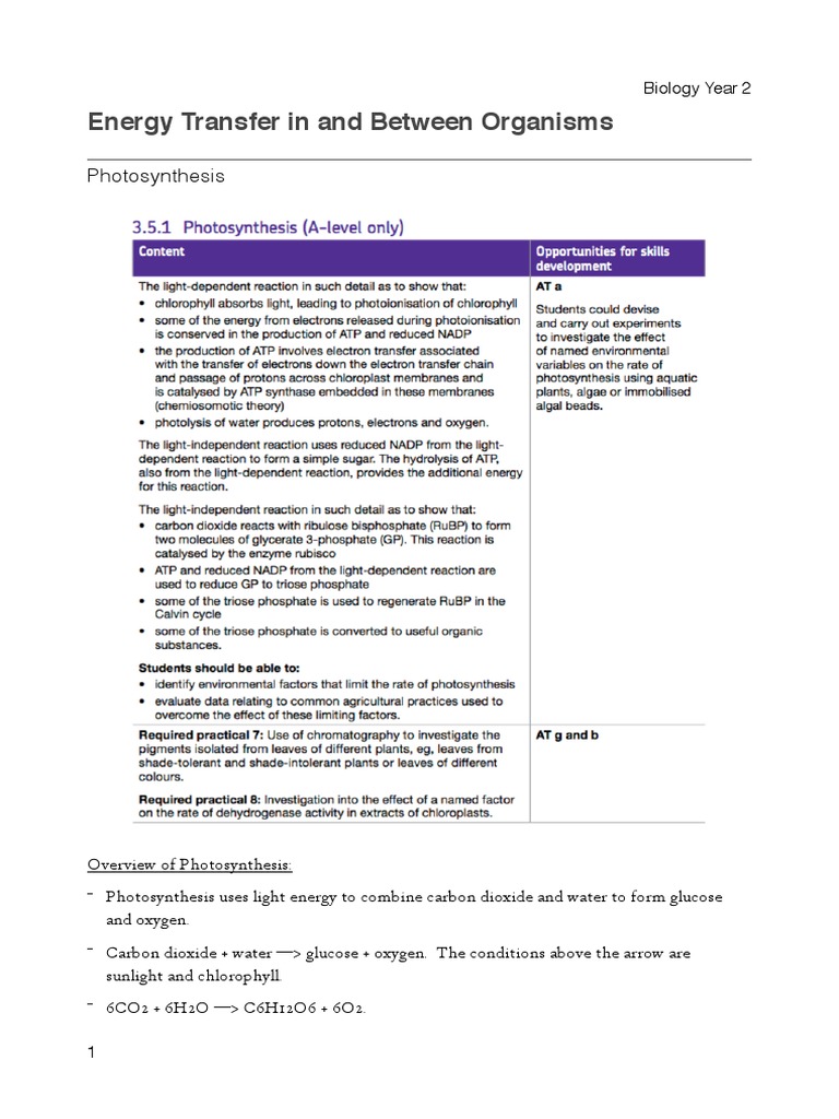 Photosynthesis: Light Reactions Overview | PDF | Photosynthesis ...