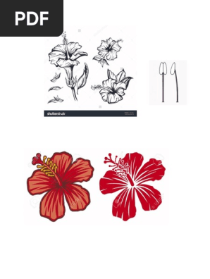 Bunga Raya Vector Png