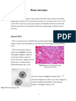 Rous Sarcoma - Cosmin Dragos Tudose