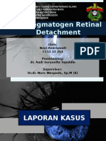 DETEKSI RETINA