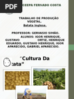 Batatinha Inglesa {Colegio Agricoila}