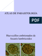 Atlas de Parasitologìa