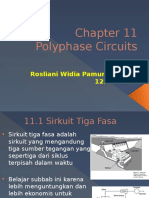 PolyPhase Circuits - Rosliani Widia Pamungkas