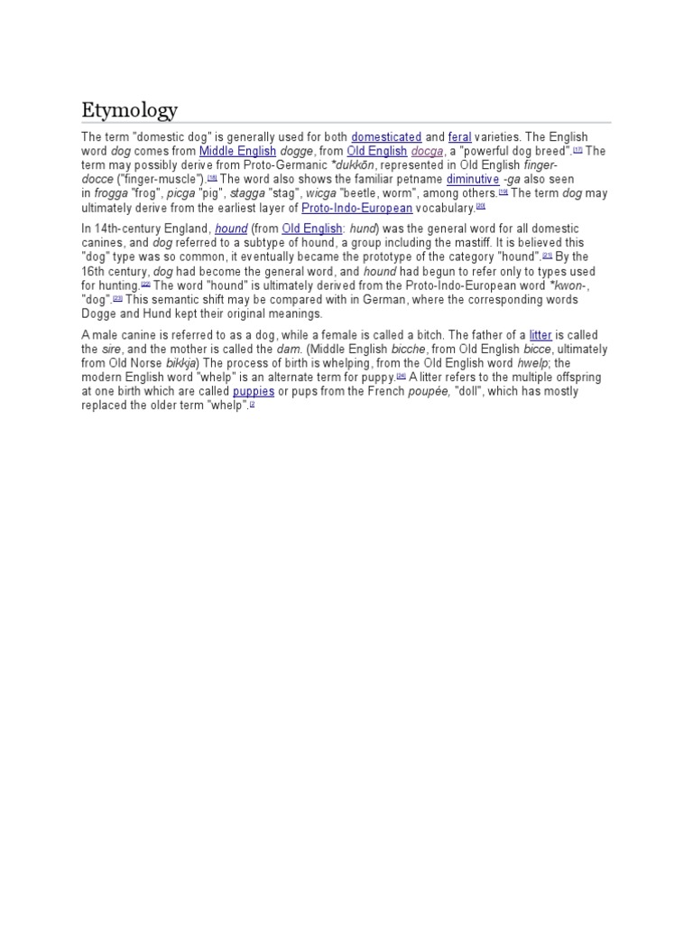 Etymology Docce ("FingerMuscle") PDF