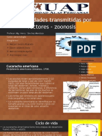 Enfermedades Transmitidas Por Vectores - Zoonosis