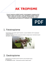 Tropisme