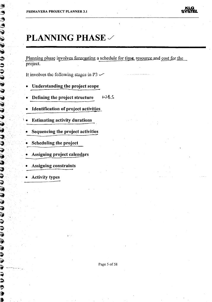 Primavera Project Planning Guide | PDF