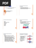 Desordens Hemodinâmicas - Trombose e Choque 1