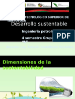 Dimensiones de La Sustentabilidad EDUARDO