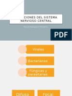 Infecciones Del Sistema Nervioso Central