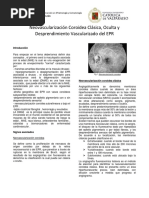 Neovascularizacion Coroidea 2017 PDF