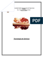 Folleto tecnologia de carnicos.pdf