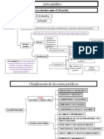 Acto Juridico ESQUEMA