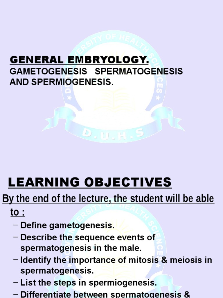 Gametogenesis and Spermatogenesis Guide | PDF | Meiosis | Mammal ...