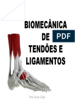 Aula 5 - Biomecânica de Tendões e Ligamentos2