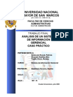 caso_practico_analisis_de_un_sig.doc