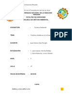 Cambios en La Amazonia Peruana