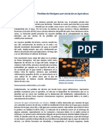 10. El Lavado de Nitratos en la Agricultura.pdf