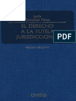 585 Jesús Gonzales Pérez - El Derecho a La Tutela Jurisdiccional