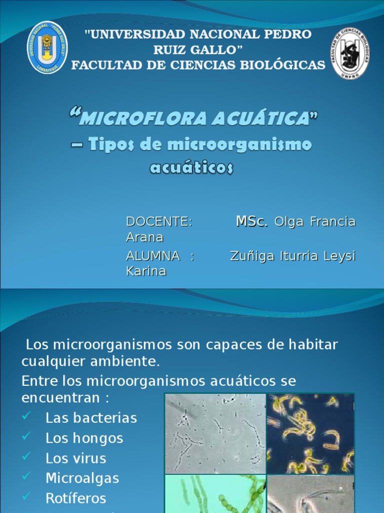 Microbiología de Ambientes Acuáticos | PDF | Las bacterias | Hongo
