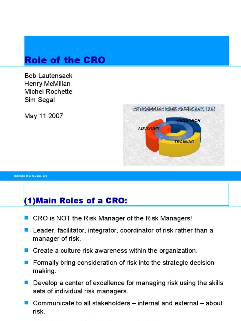 The Role and Responsibilities of the Chief Risk Officer | PDF | Risk ...