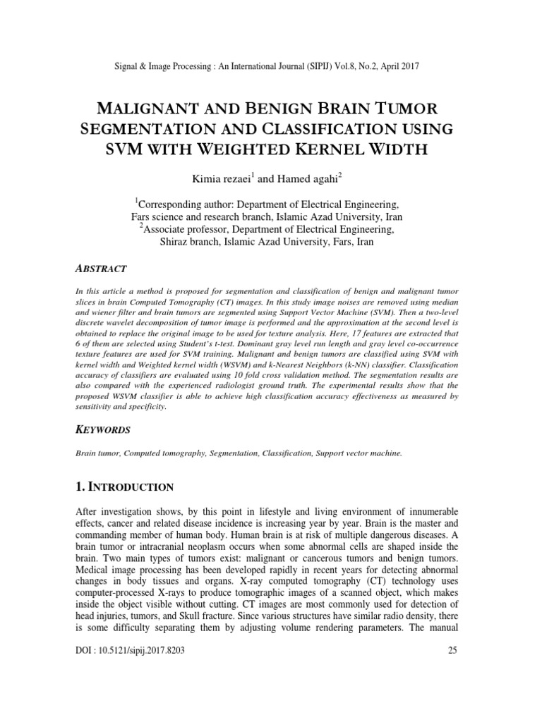 Brain Tumor Segmentation with SVM | PDF | Support Vector Machine ...