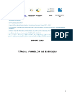 CONDITII-targul-fe.pdf