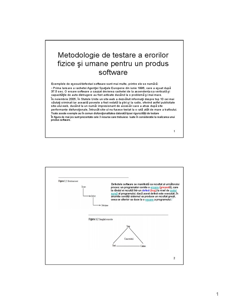 Metodologie Testare SW | PDF