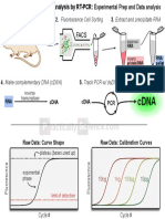 RT PCR Gene Expression Intro v8