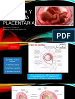 Placenta